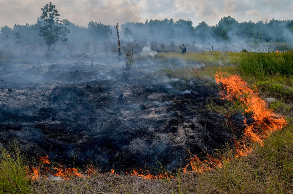 A fire burns in the middle of a field.