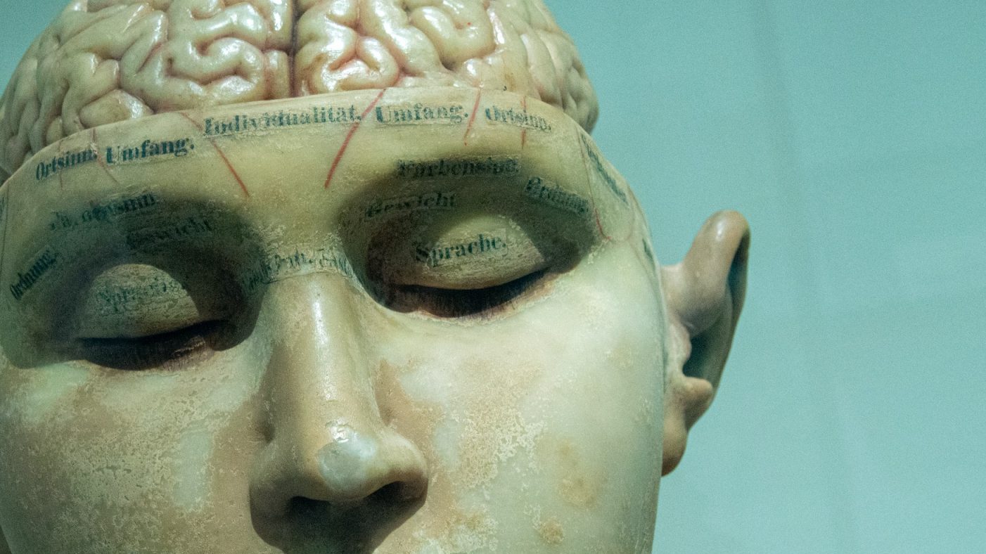 A mannequin head with a brain on it.