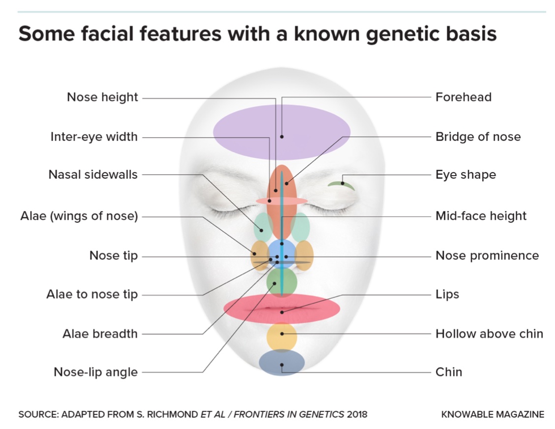  Description: Facial features have a known genetic basis due to genes. In addition, there is observed family resemblance in these traits.