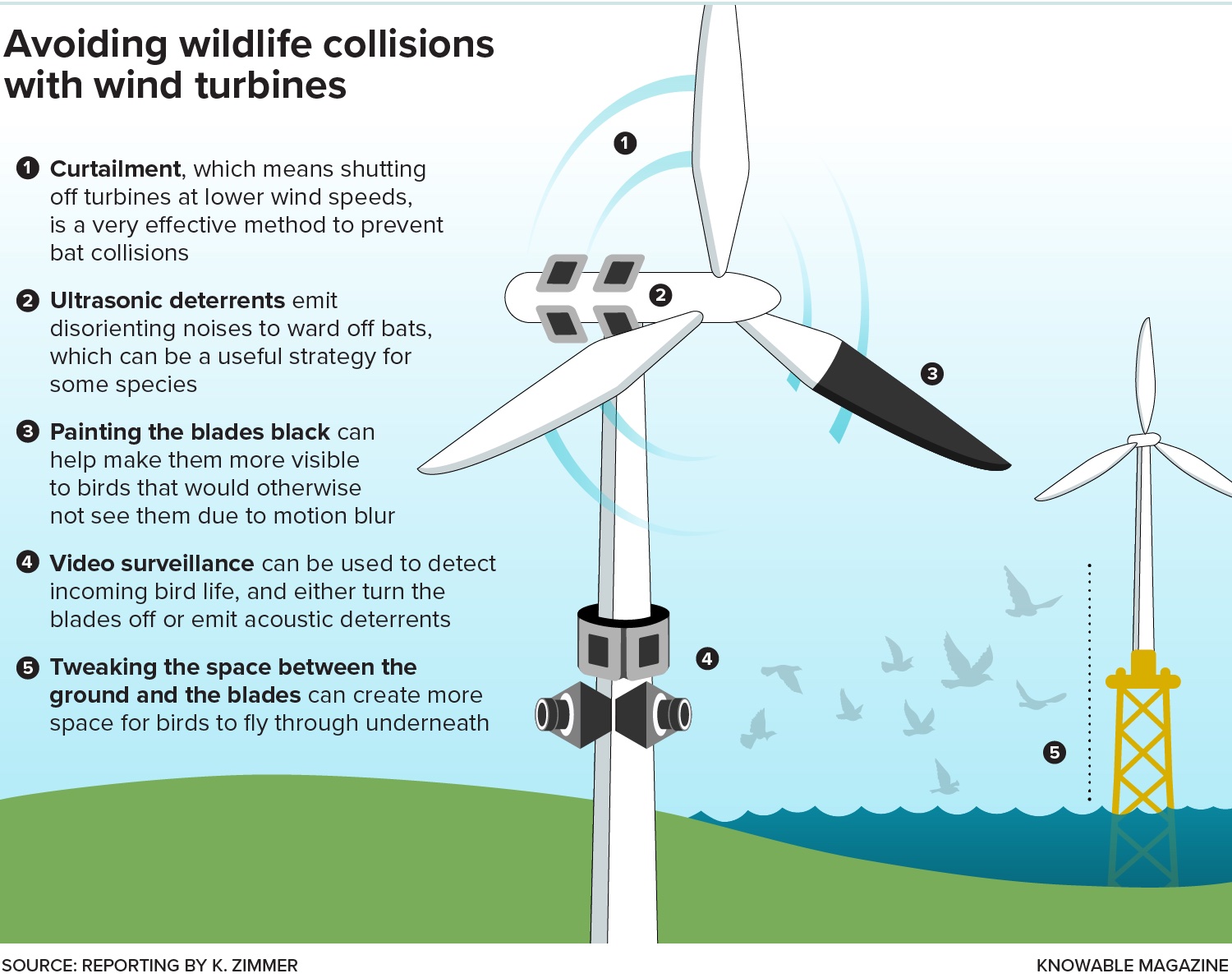 Avoiding wildlife collisions with wind turbines is a critical aspect in ensuring the sustainability and safety of renewable energy projects. As wind turbines generate clean and renewable energy, they can inadvertently pose risks to local wildlife populations
