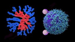 An image of a virus and a blue and red cell.