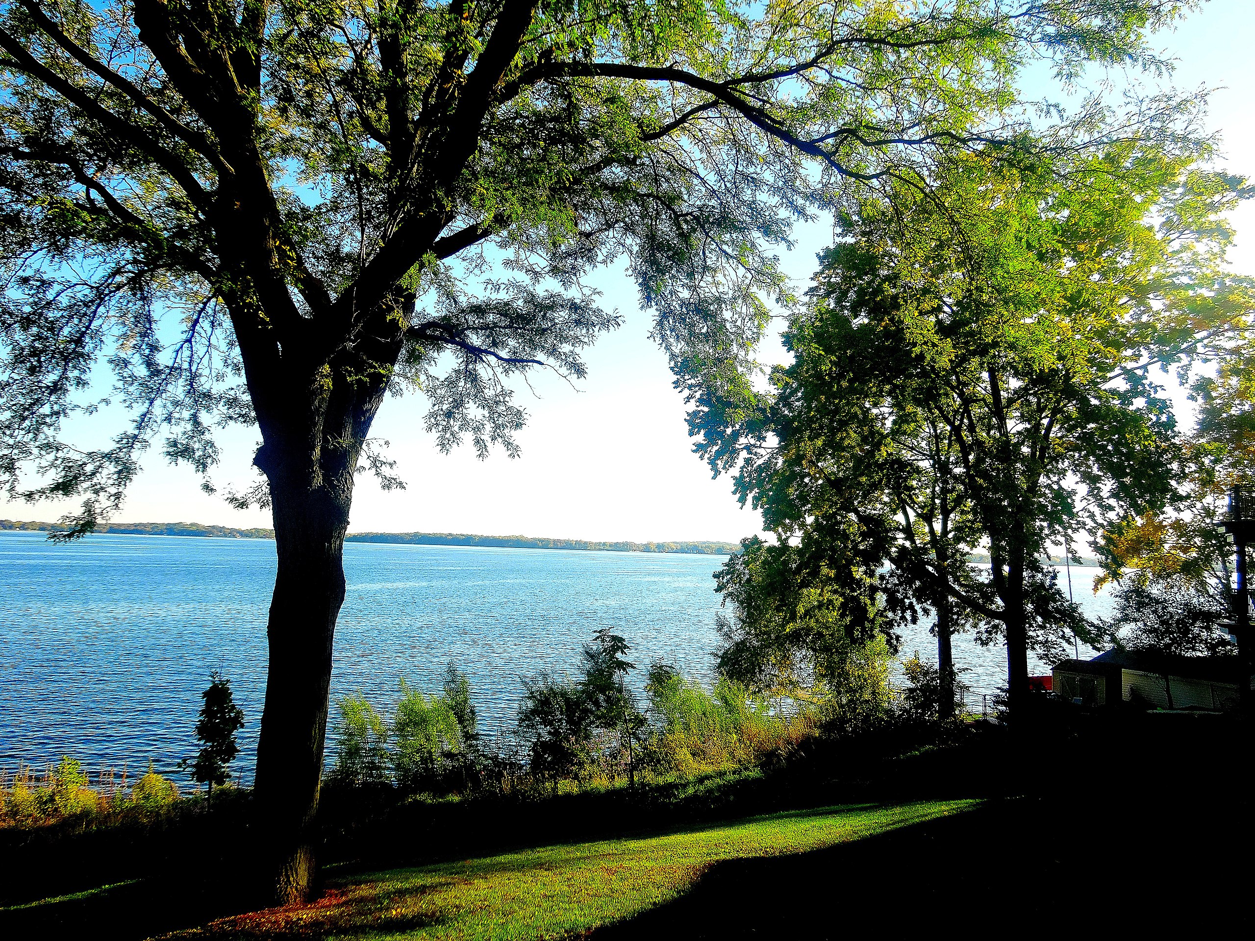 Trees by the water at Clarke Beach, a setting of the story by Vauhini Vara.