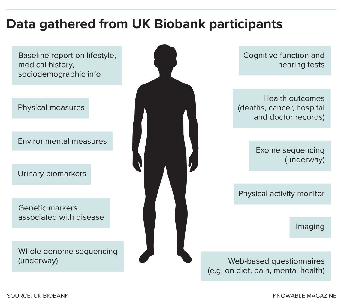 Data gathered from uk biobank participants.