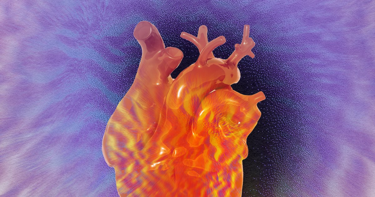 The psychedelic heart: Scientists predict DMT effects from cardiac activity