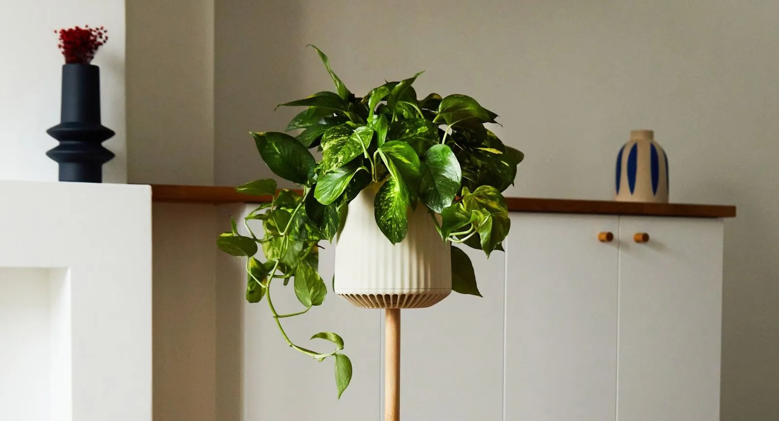 A potted plant on a wooden stand in a living room.