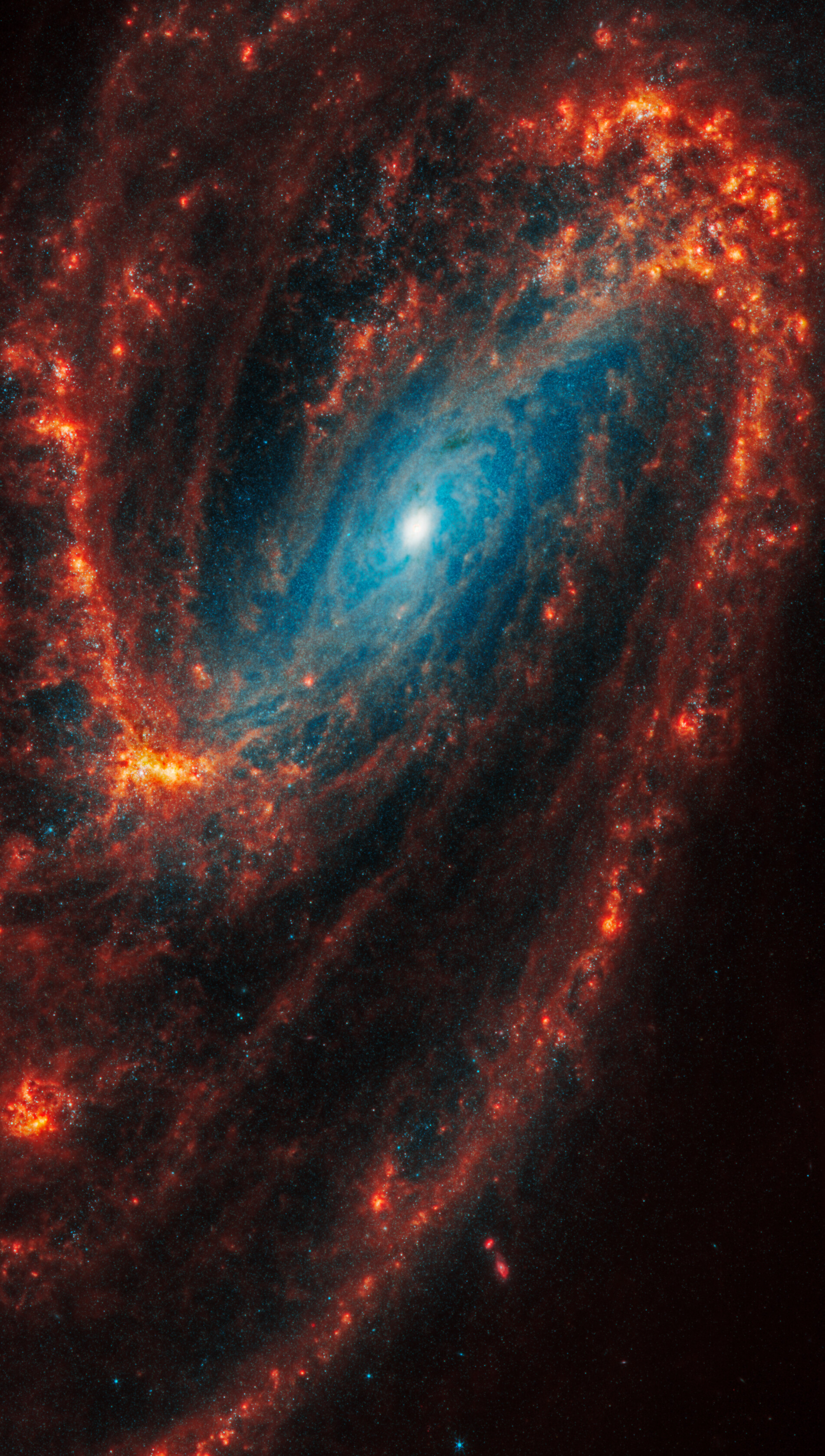 Webb’s image of NGC 3627 shows a face-on barred spiral galaxy anchored by its central region, which has a bright blue central dot. It is surrounded by a bar structure filled with a lighter blue haze of stars, which forms a large, angled oval toward the top. Two large distinct spiral arms appear as arcs that start at the central bar. One starts at left and stretches to the top and another starts at right and extends to the bottom