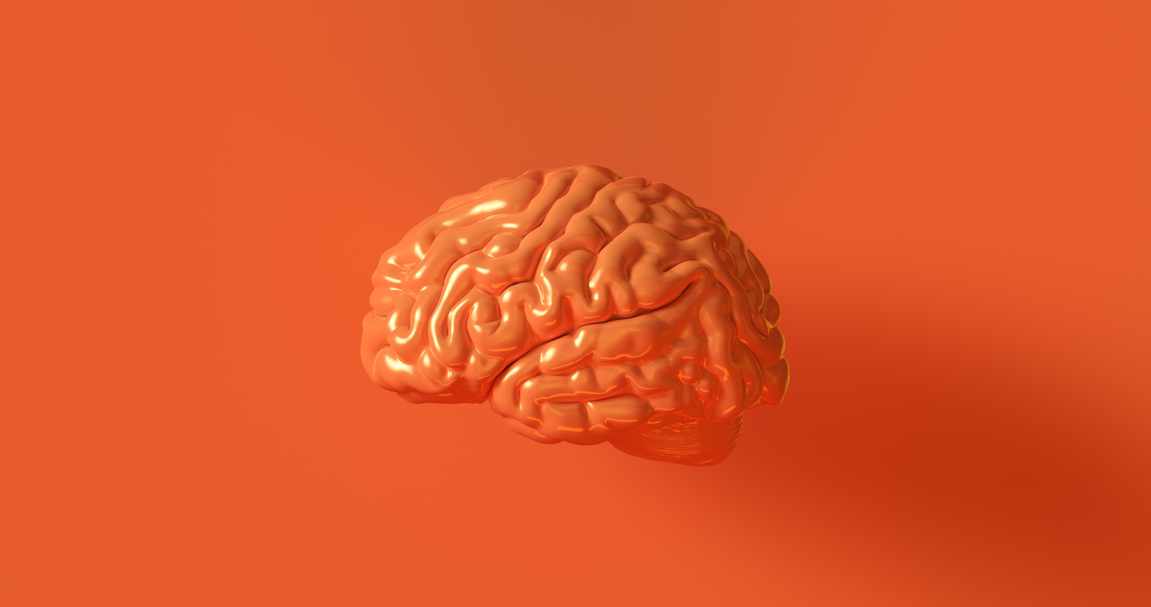 A 3D model of a human brain on an orange background designed to help memorize brain structure.