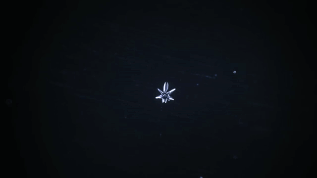 An image of a snowflake in the dark, representing the serene beauty of nature as life began on Earth.