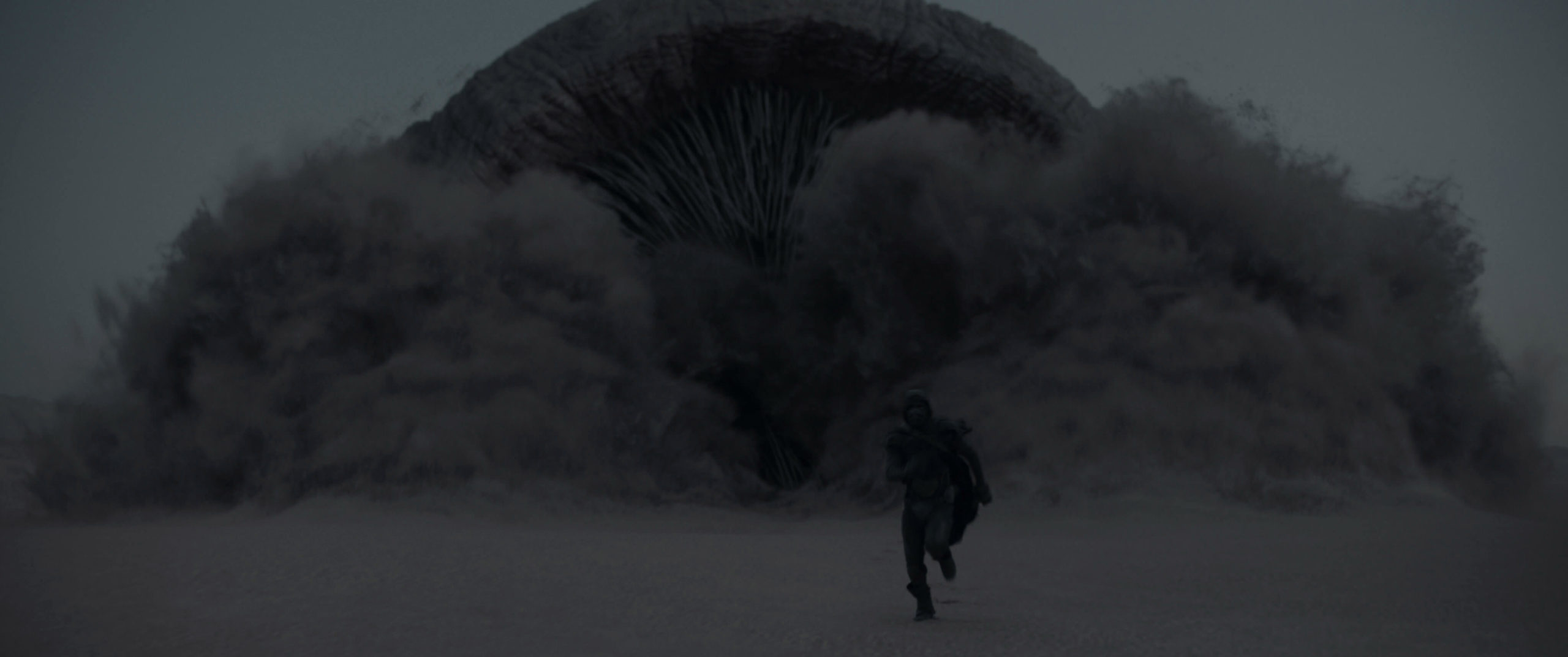 A person running from an enormous dust explosion in a desolate landscape in Dune.