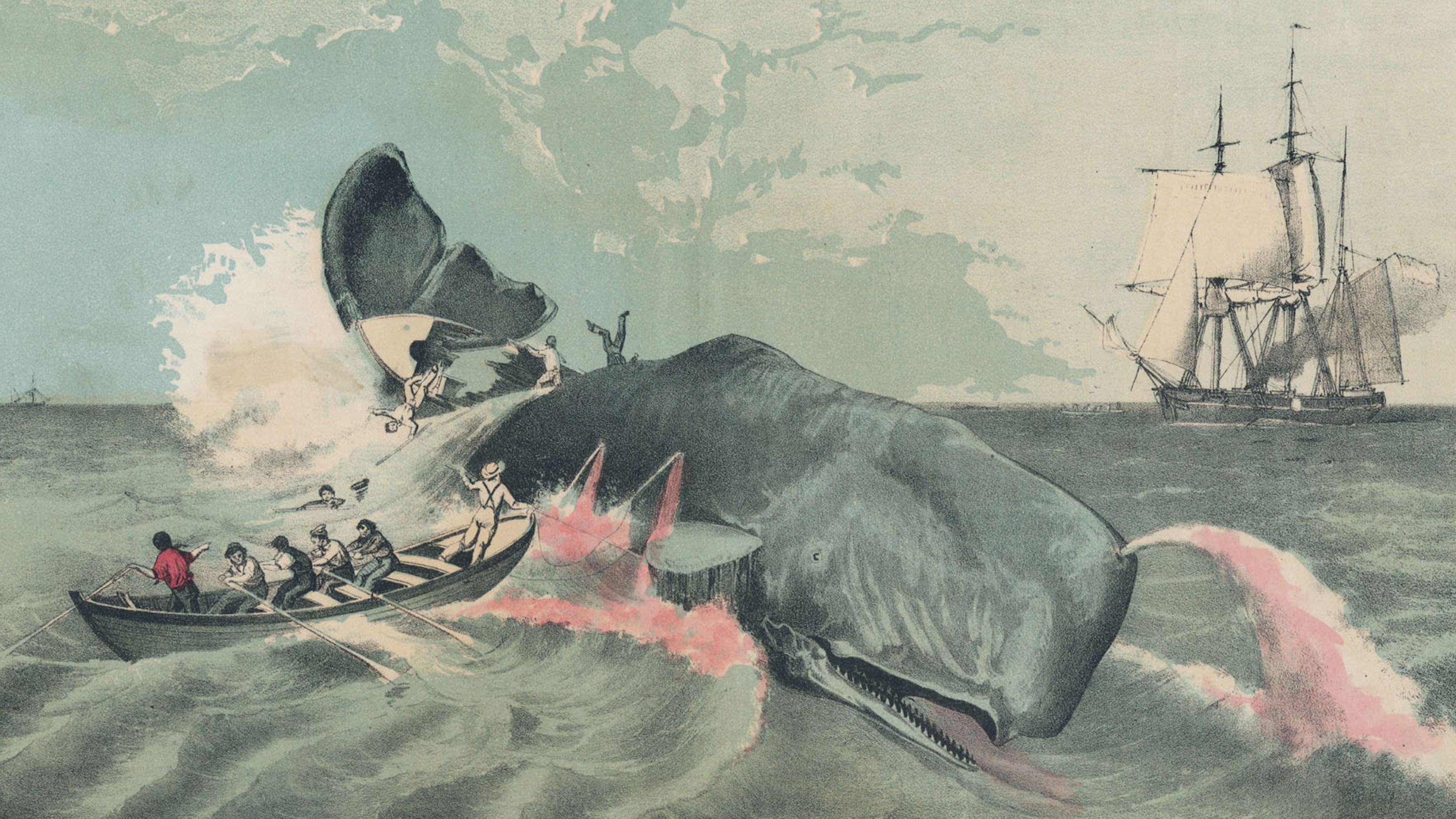 A whaling scene depicting a harpooned whale bleeding near a small rowing boat with sailors, with a sailing ship in the background.