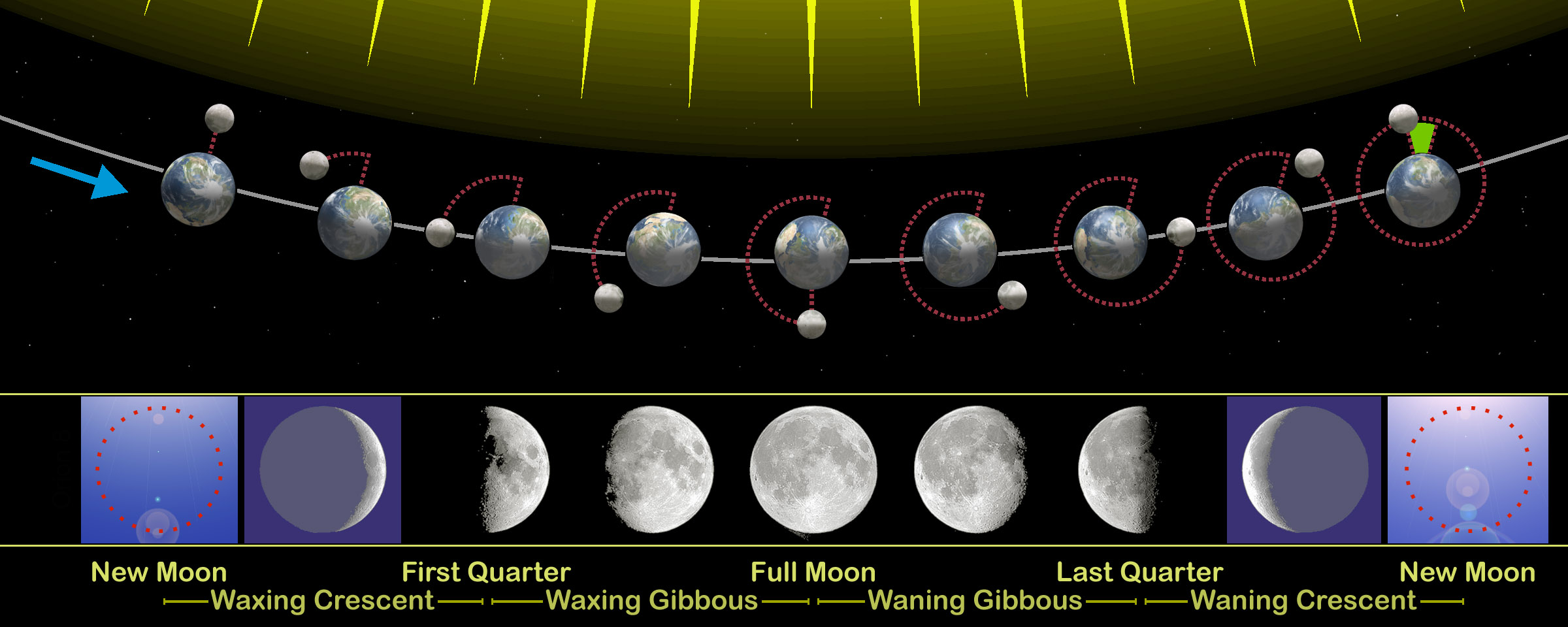 Diagram showing the phases of the moon as it orbits earth over a month, with corresponding views of the moon from earth below.