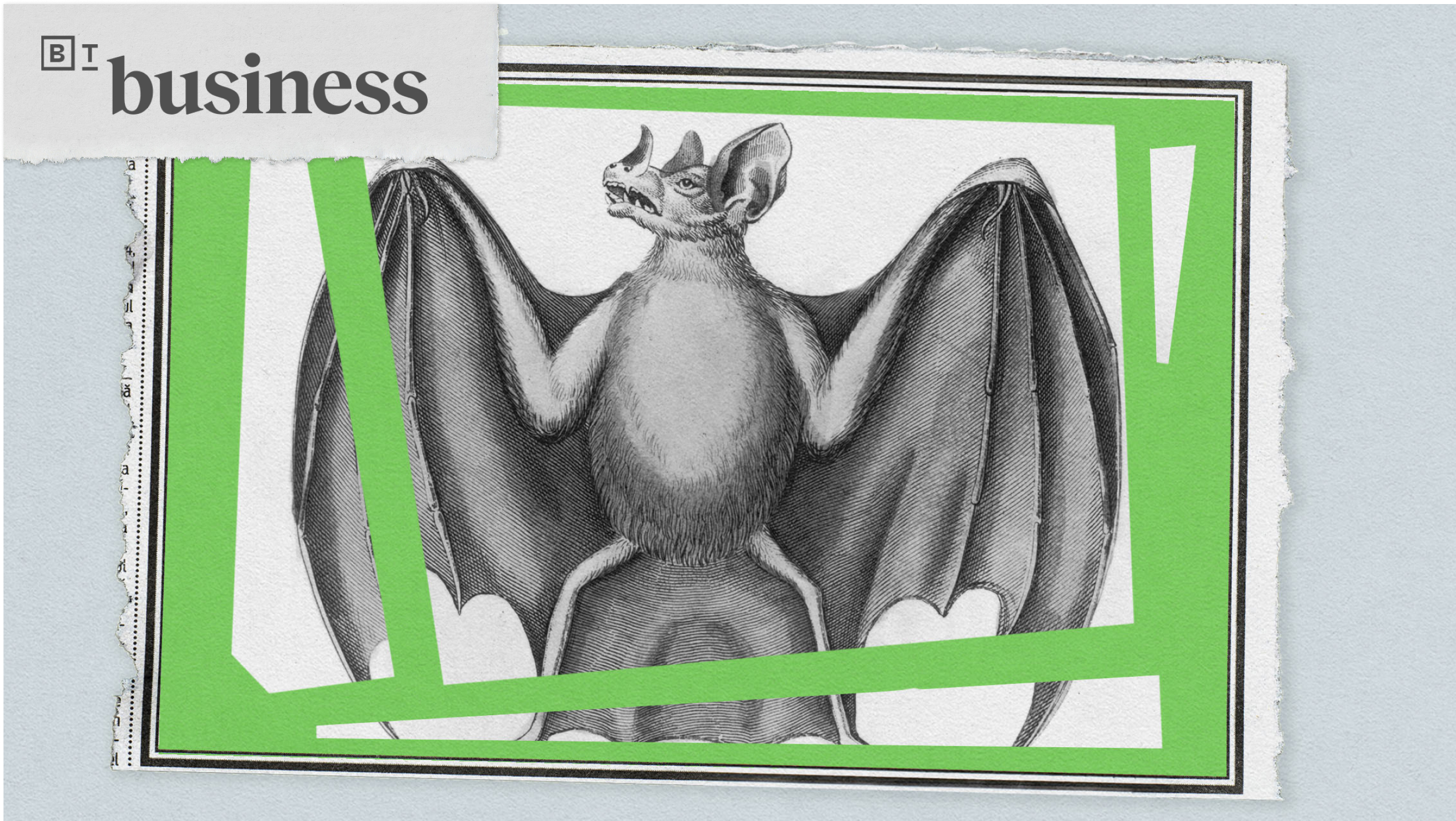 Illustration of a vampire bat with outstretched wings.