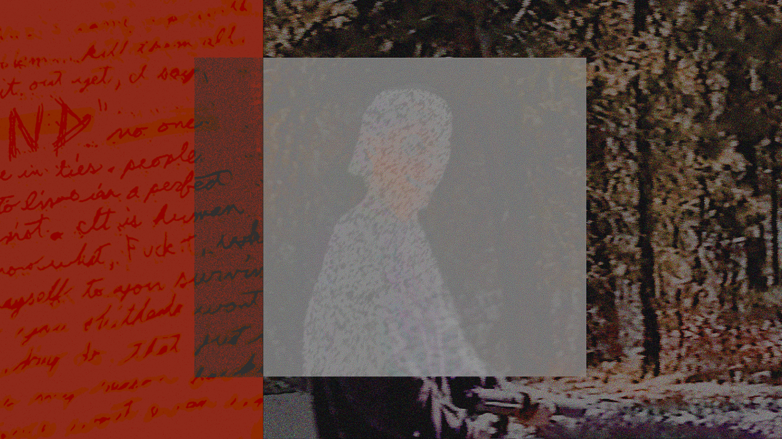 A pixelated image of a person in a white hoodie walking in the woods, with the person's face obscured by pixelation. The background features reddish handwritten text overlay.