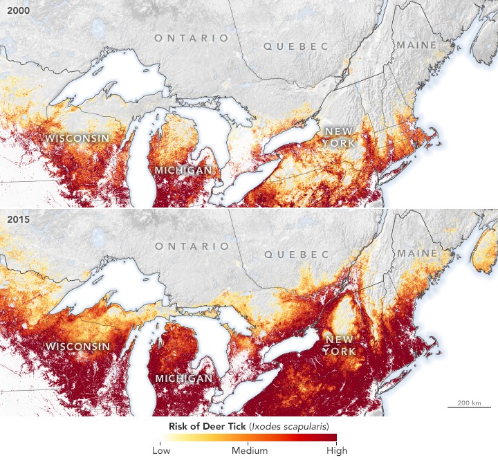 Maps showing the increase in deer tick risk areas in parts of the united states and canada from 2000 to 2015.