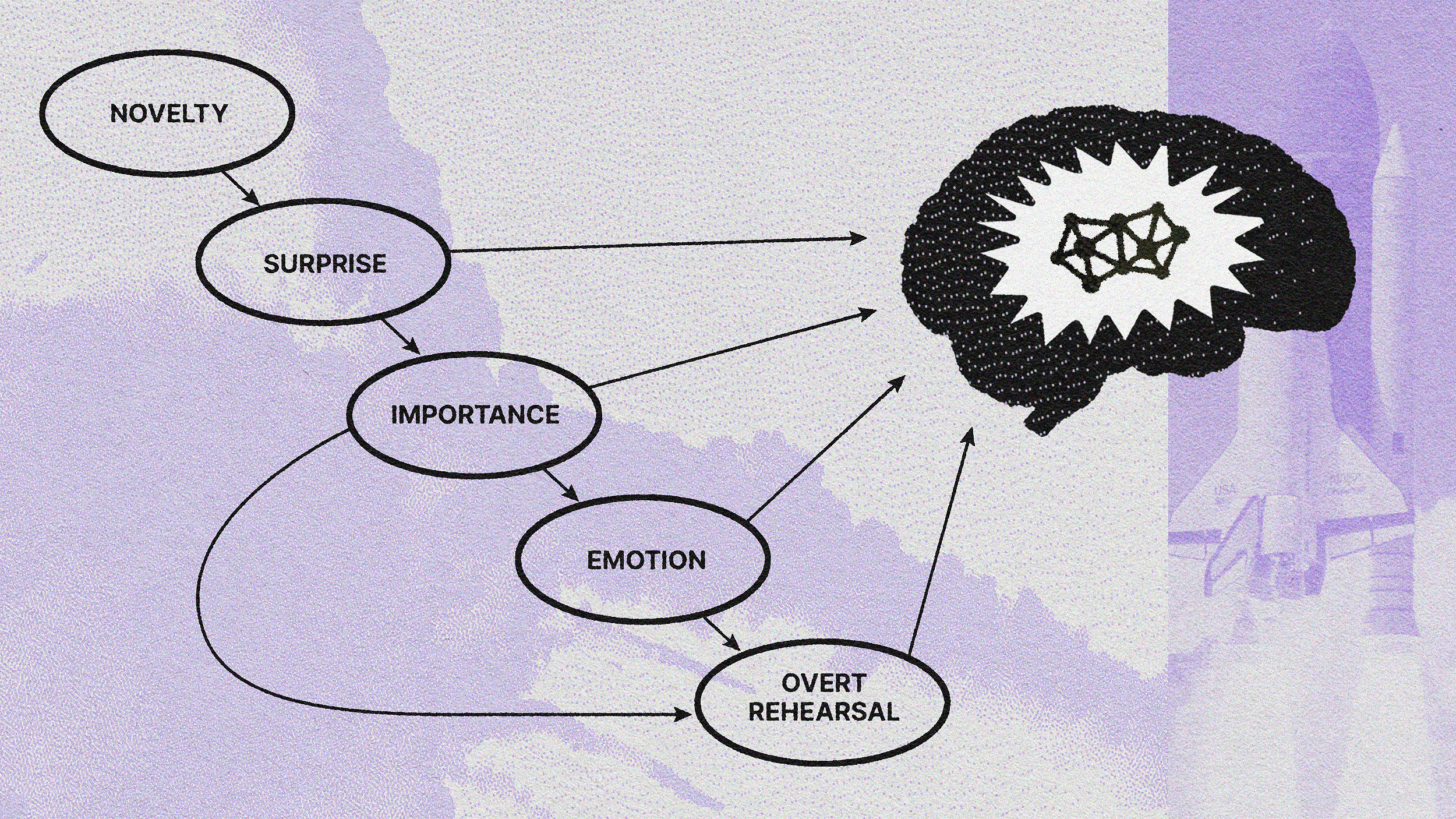 Illustration of a conceptual model showing factors like novelty, surprise, importance, emotion, flashbulb memories, and overt rehearsal linked to memory retention, symbolized by a brain icon.