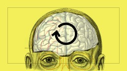 Illustration of a human head in profile with the top part of the skull removed, displaying the brain. an arrow circles within the brain, set against a yellow background.