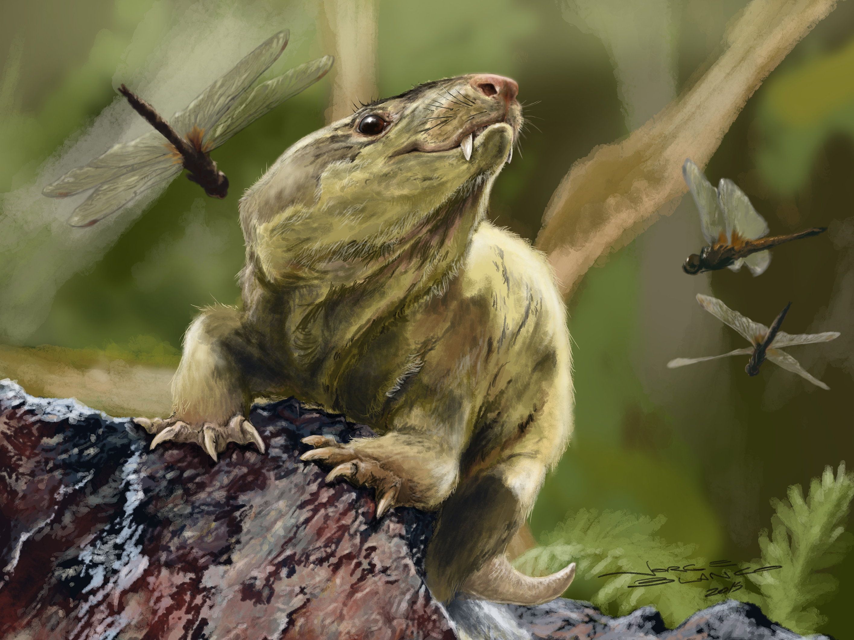 A painting of a rodent-like mammal with tusks watching dragonflies in a natural setting.
