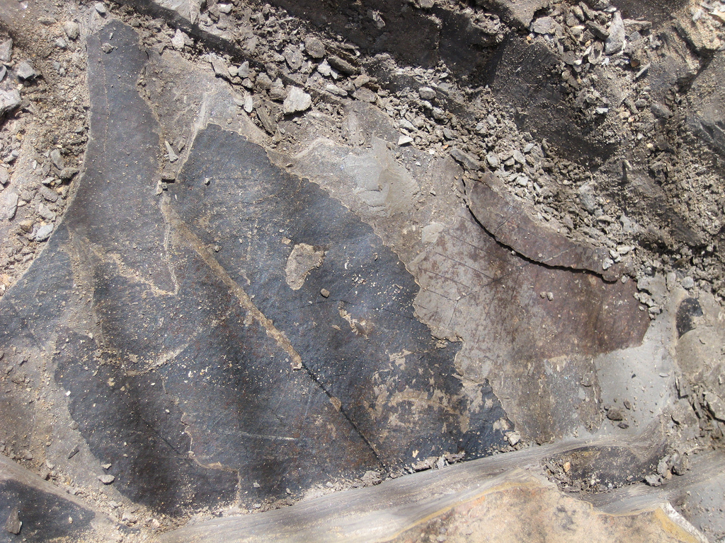 Ancient petroglyphs etched into a rock surface.