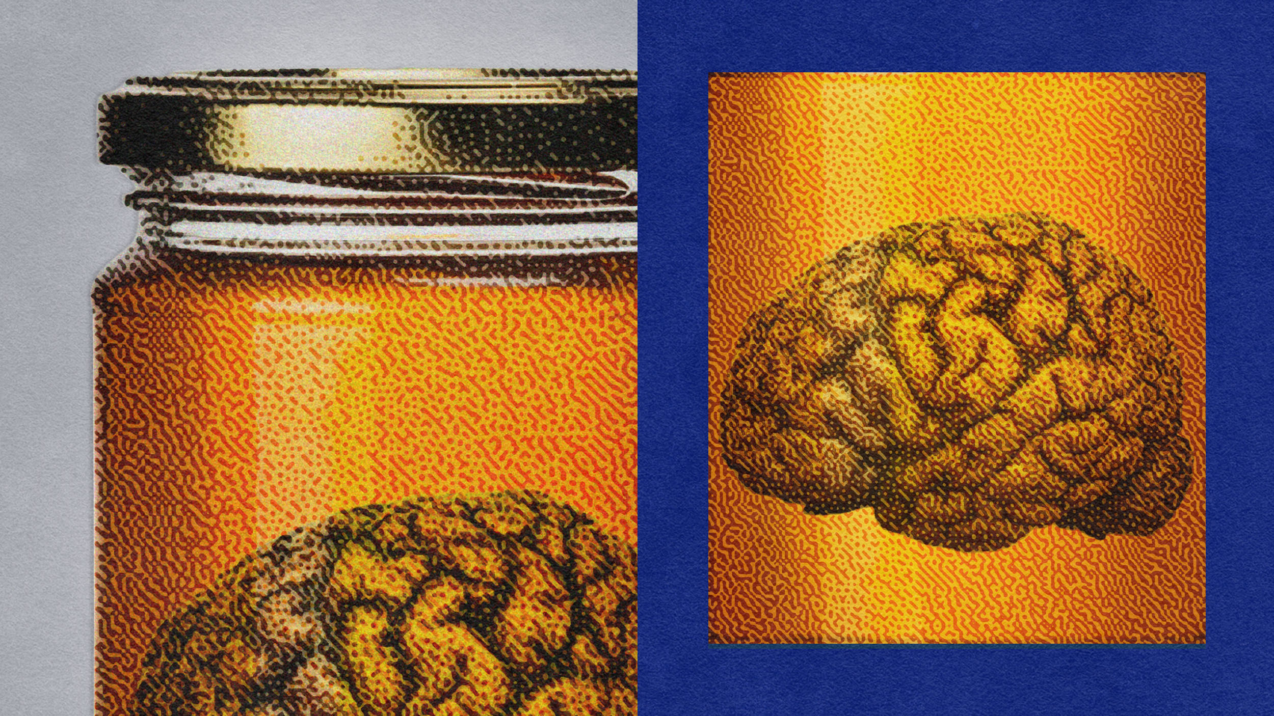 An image of a glass jar containing a brain on a textured background.