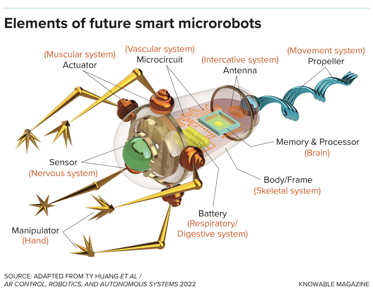 Illustration of a future vascular microrobot with labeled parts: sensors, manipulator, actuator, microcircuit, interactive antenna, propeller, battery, skeleton, brain, and processor.