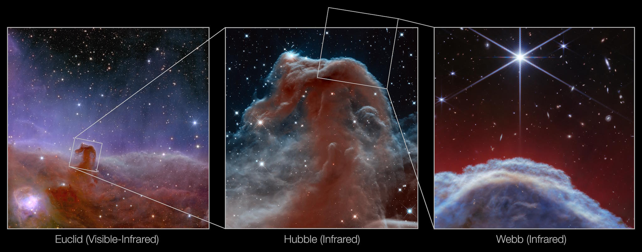 Three panels comparing nebula images from Euclid (visible-infrared), Hubble (infrared), and JWST (infrared) telescopes, highlighting detailed astronomical observations of the Horsehead Nebula