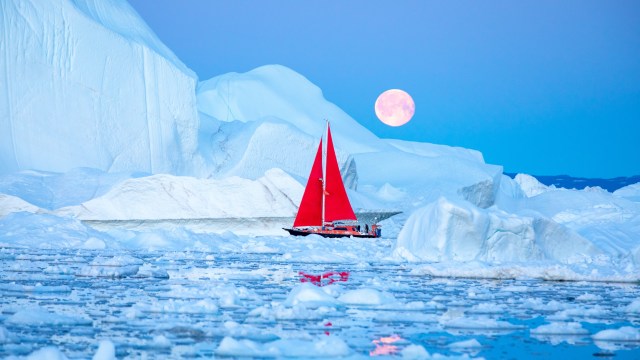 A sailboat with a red sail navigates through icy waters surrounded by large icebergs under a full moon.