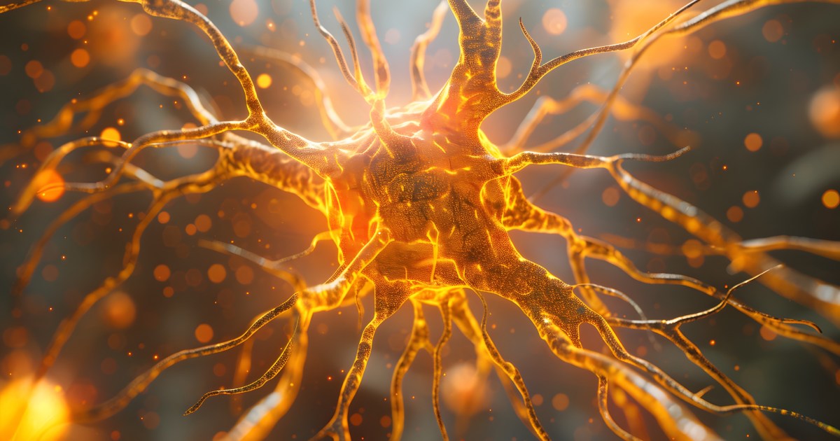 Discovered: A “brain-body circuit” that turns inflammation up and down