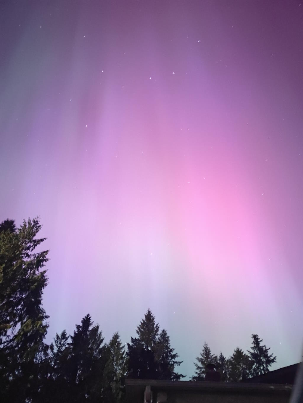 A vivid display of pink and purple aurora borealis, reminiscent of the Hubble's celestial images, visible above silhouetted trees against a night sky.