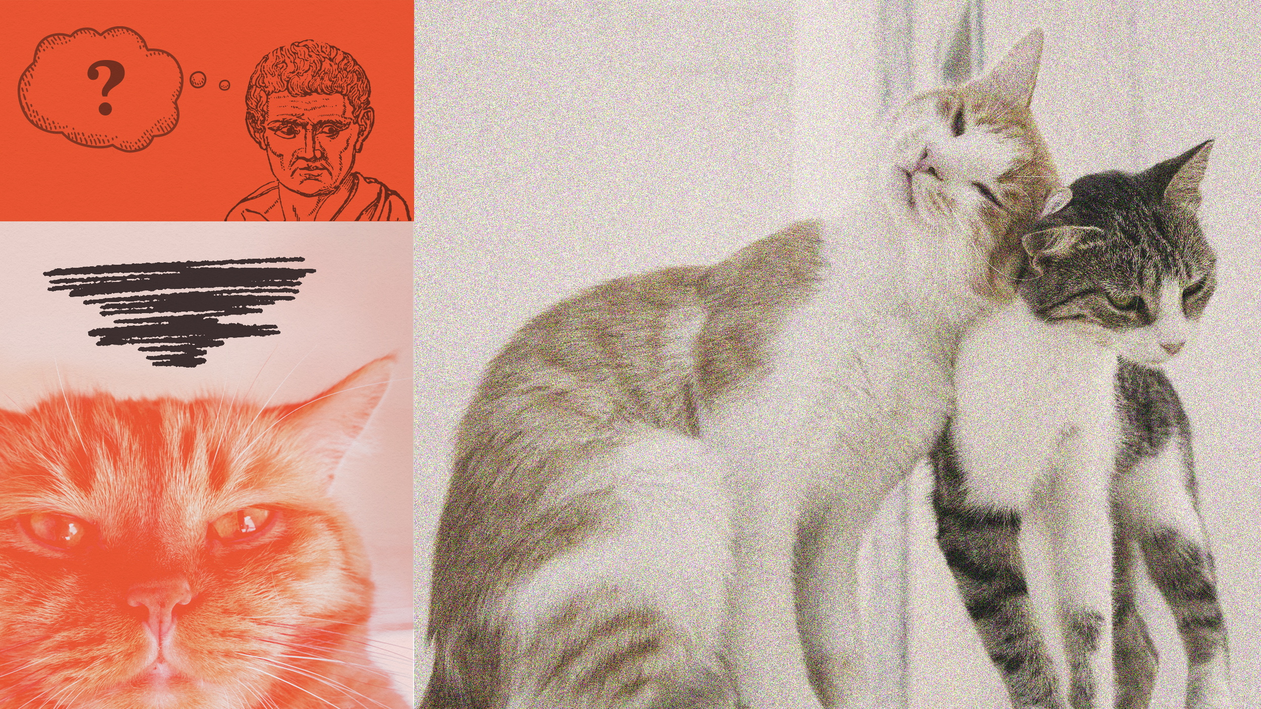 Collage featuring a thoughtful person contemplating dating philosophy, two embracing cats in monochrome, and a close-up of an orange cat's face, with graphic elements like a question mark and abstract lines.