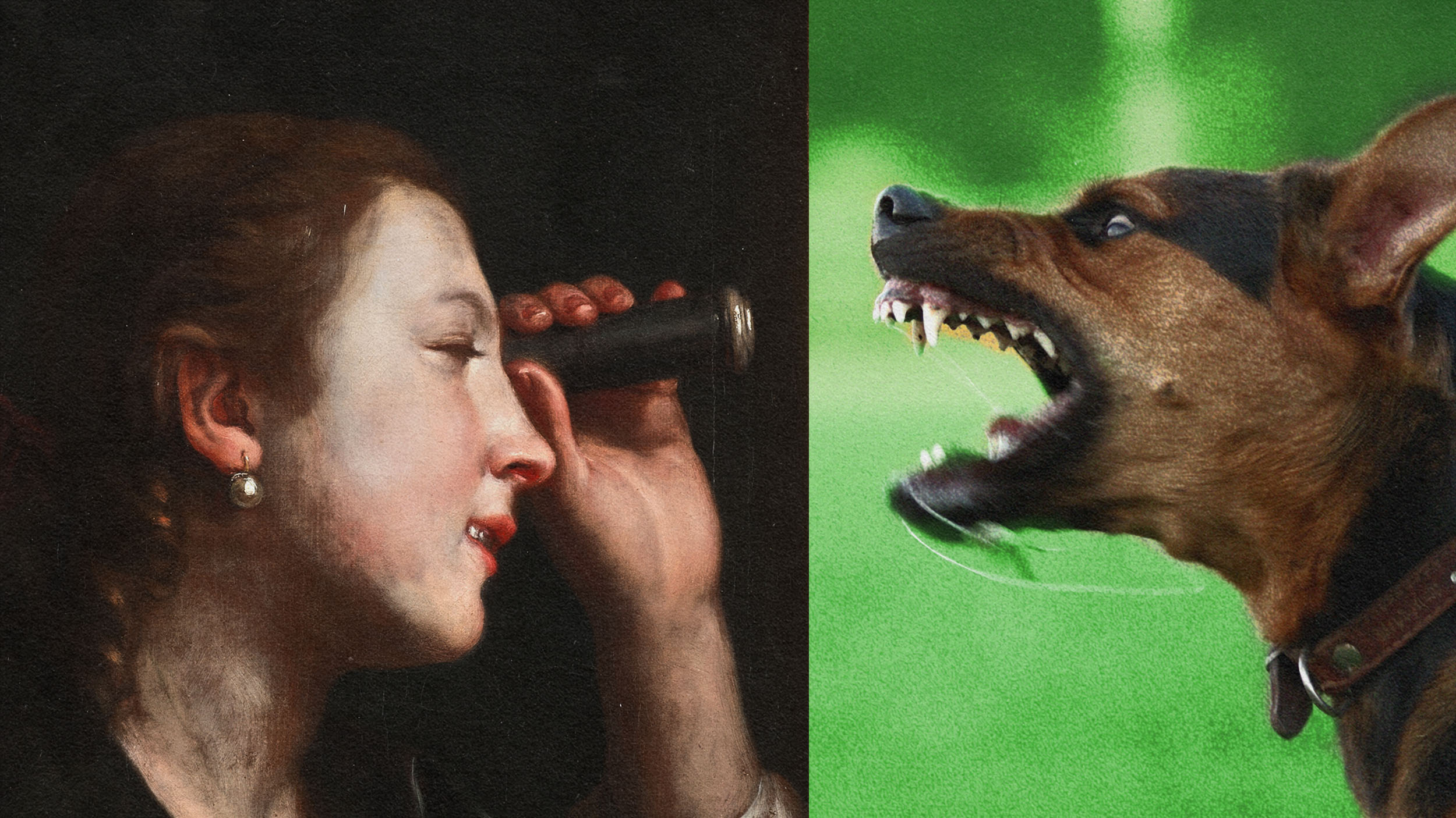 Split image: on the left, a woman using a spyglass, and on the right, fury depicted by an aggressive dog barking.