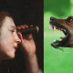 Split image. On the left, a woman using a spyglass, and on the right, fury depicted by an aggressive dog barking.