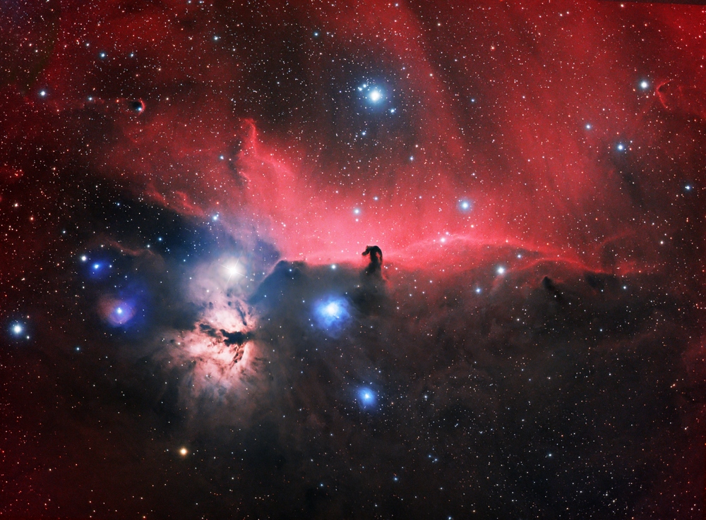 A vibrant image captured by the JWST of the Horsehead Nebula, featuring swirling red clouds and bright stars scattered across a dark sky.