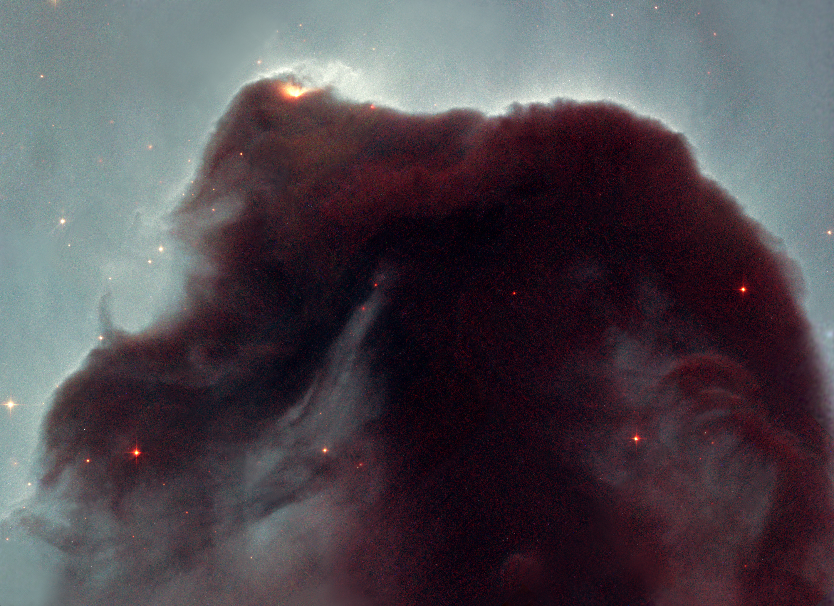 A detailed image of the Horsehead Nebula, captured by JWST, showing a dense, dark cloud of dust and gas with tiny glowing stars scattered around.
