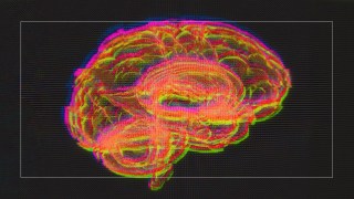A digital illustration of a human brain displaying various colors, superimposed on a textured black background with a white frame.