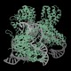 A 3D molecular model showing a complex structure of intertwined green proteins and grey DNA strands on a black background.