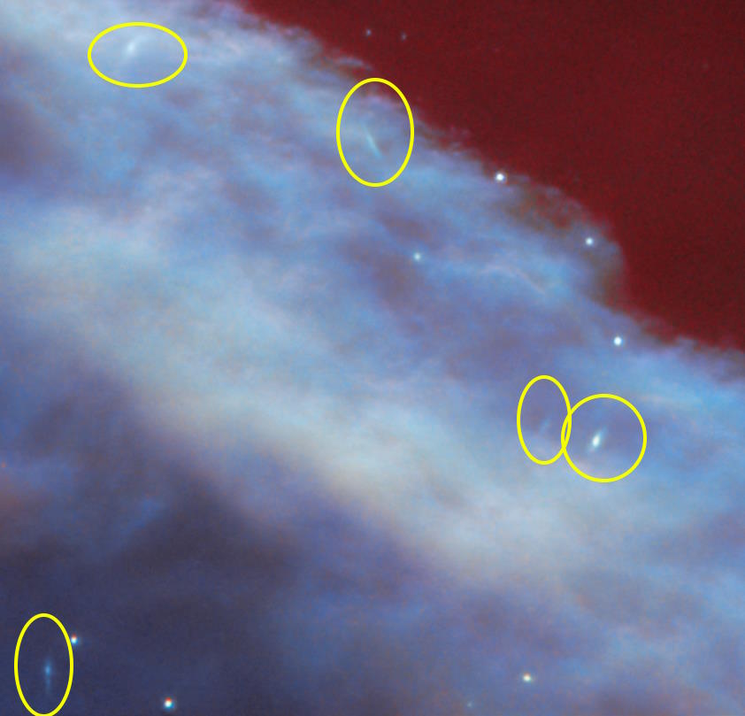 Close-up view of the Horsehead Nebula with blue and red clouds of gas, highlighted by yellow circles indicating areas of interest.