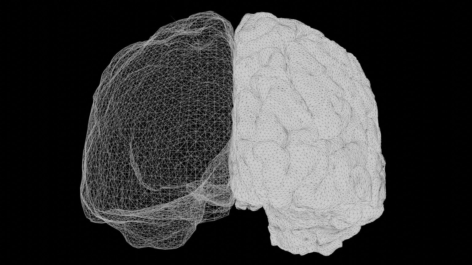 Black and white wireframe rendering of a human brain, with the left hemisphere shown in sparse lines and the right hemisphere rendered more densely detailed, highlighting areas associated with cognition.
