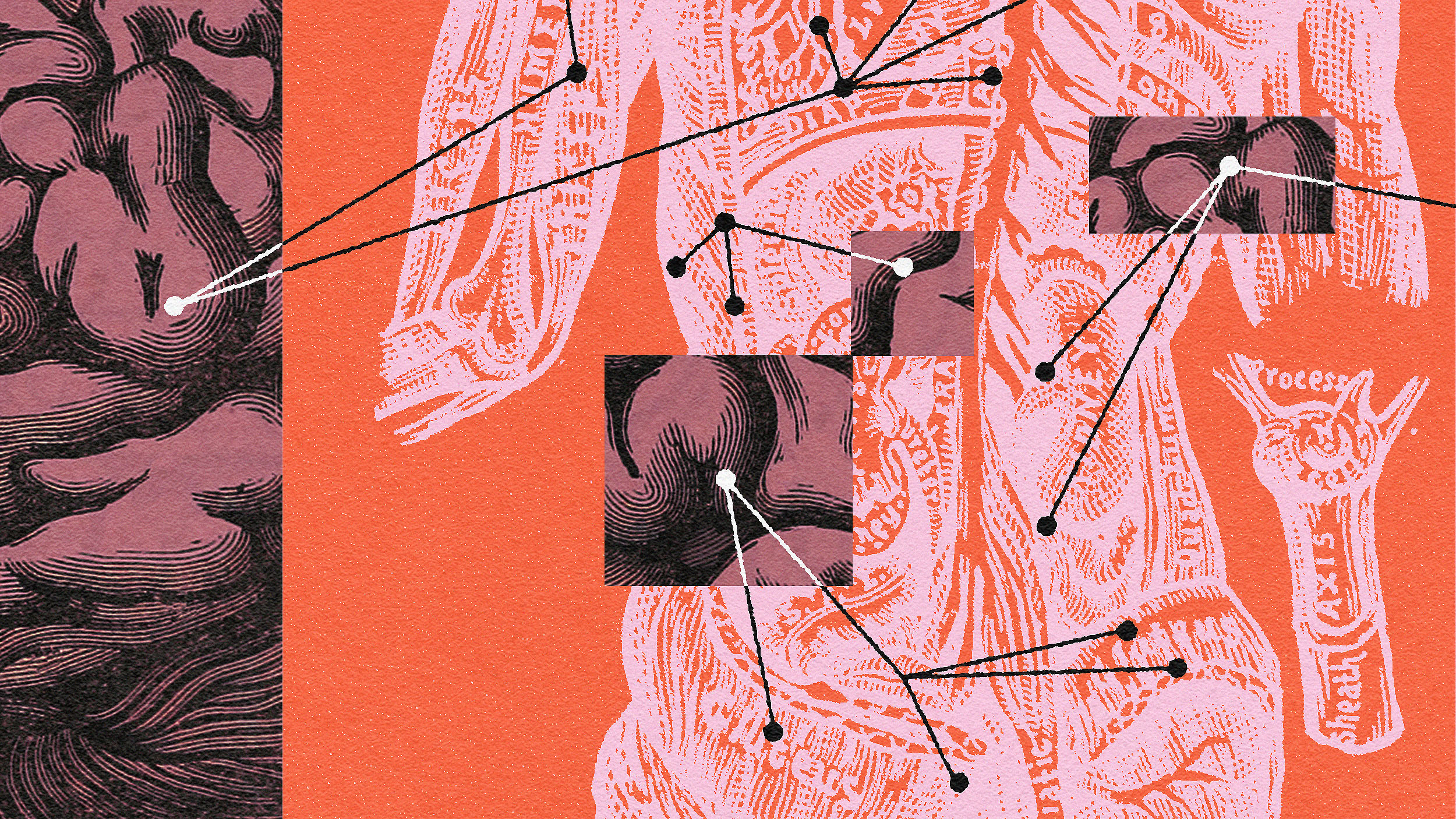 Abstract orange and pink collage with intricate line drawings of human figures and anatomical details, connected by white lines.