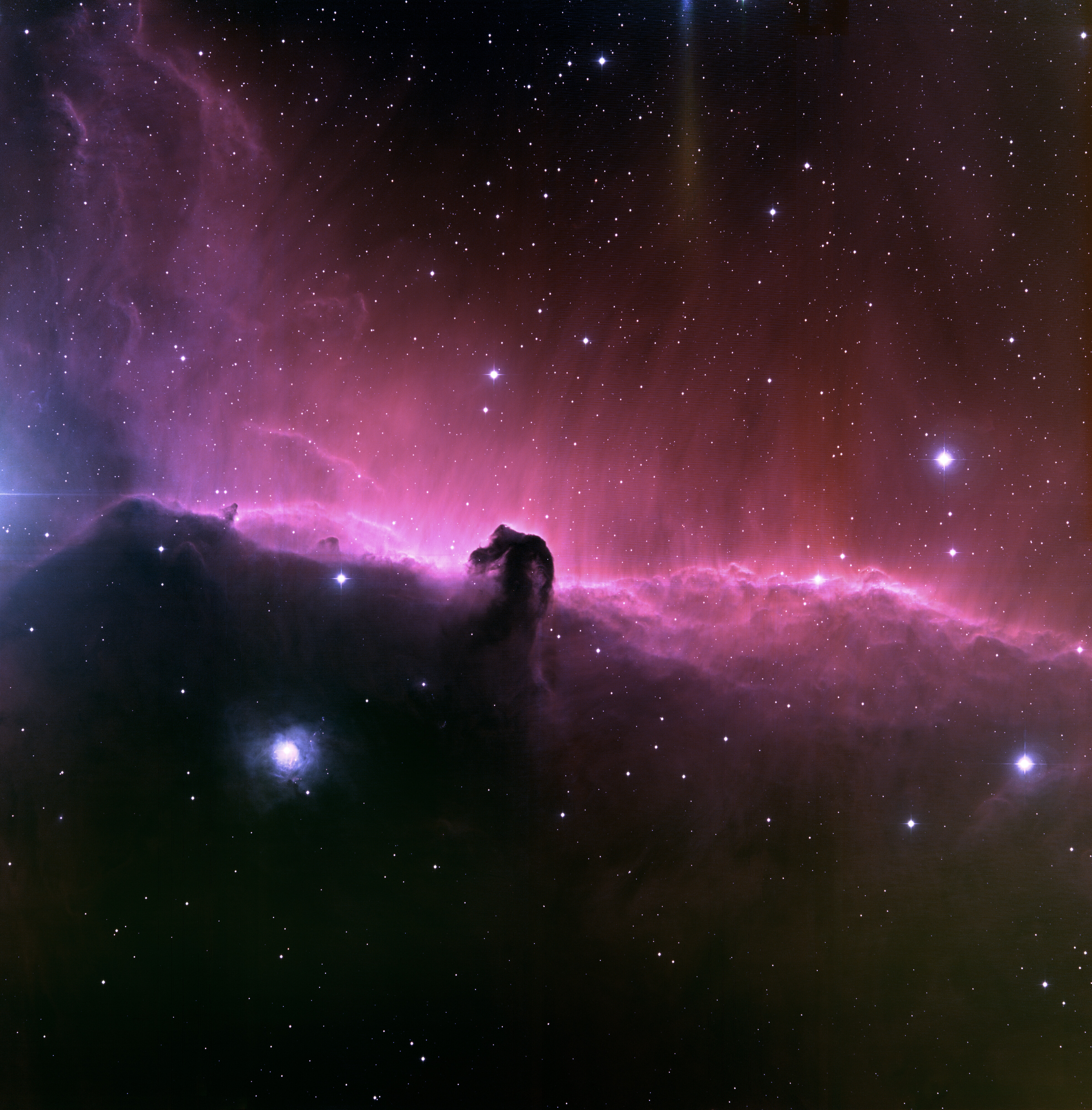 A vibrant cosmic image captured by the JWST featuring a shadowy horsehead nebula silhouetted against a luminous pink and purple gas cloud sprinkled with scattered stars.
