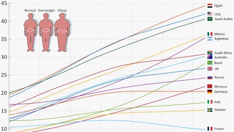 Line chart showing body mass index (BMI) trends for various countries. Lines are labeled by country, with silhouetted figures for normal, overweight, and obese categories on the left.