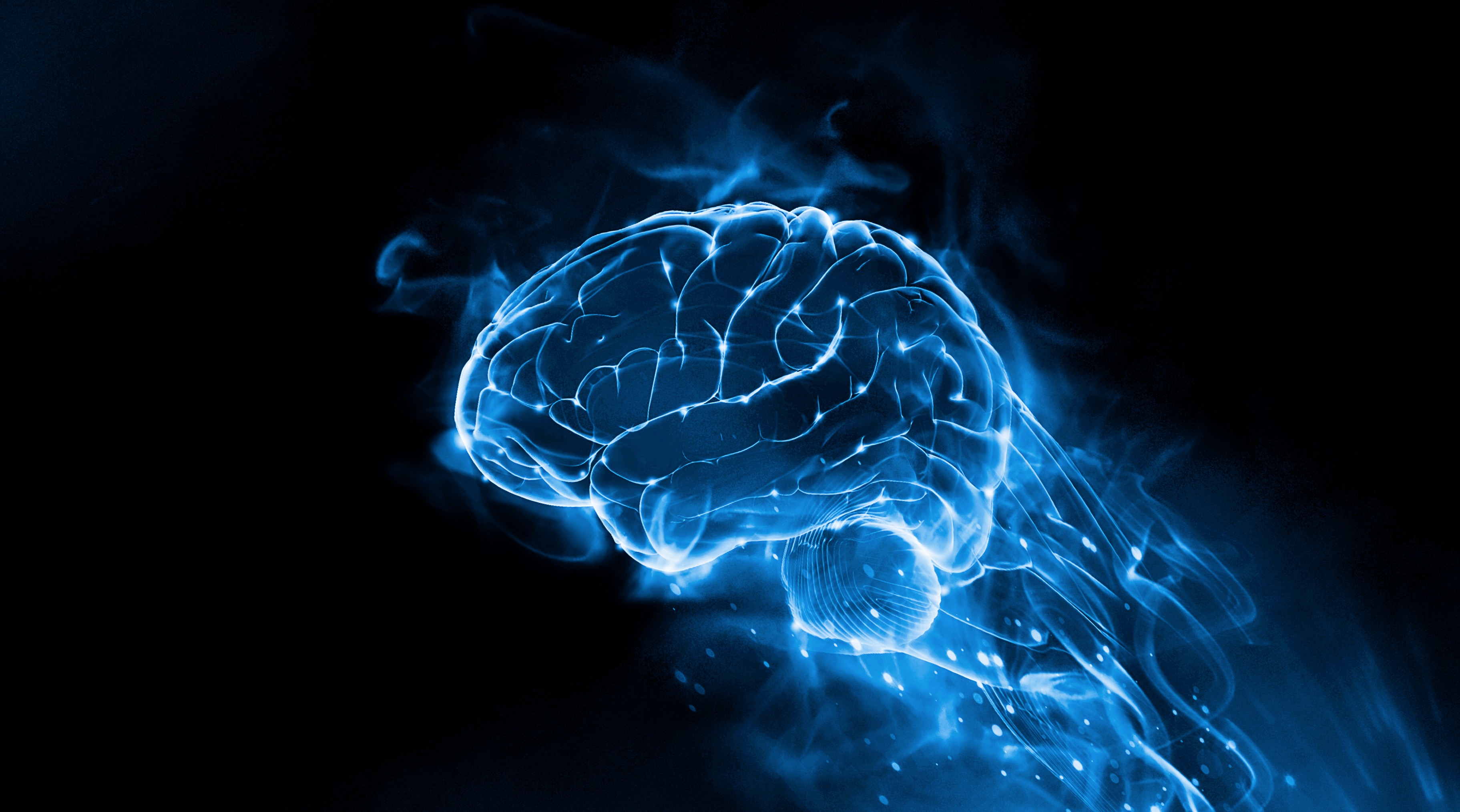 Glowing blue digital rendering of a human brain against a black background.