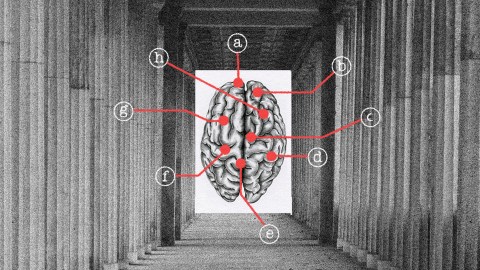 Illustration of a brain diagram labeled with letters A through H, set in the center of a corridor flanked by tall columns. Red lines connect the labels to specific points on the brain, evoking pathways that have evolved from the past.