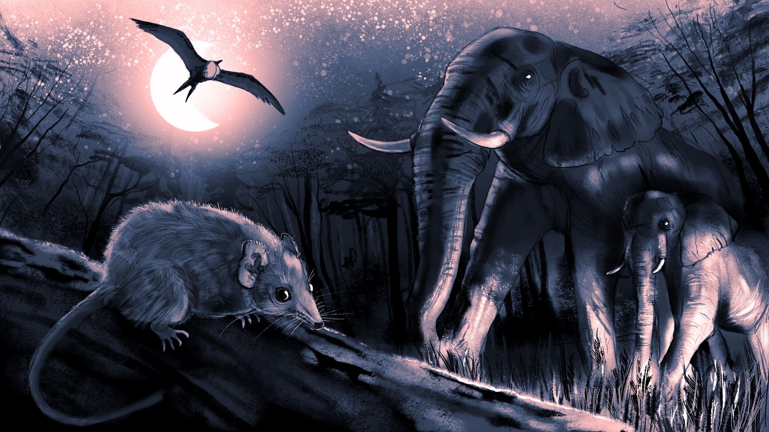 Illustration of a prehistoric scene with a rodent-like mammal, possibly experiencing animal sleep deprivation, perched on a branch. In the background, two elephants are walking while a flying reptile soars under the moonlit sky.