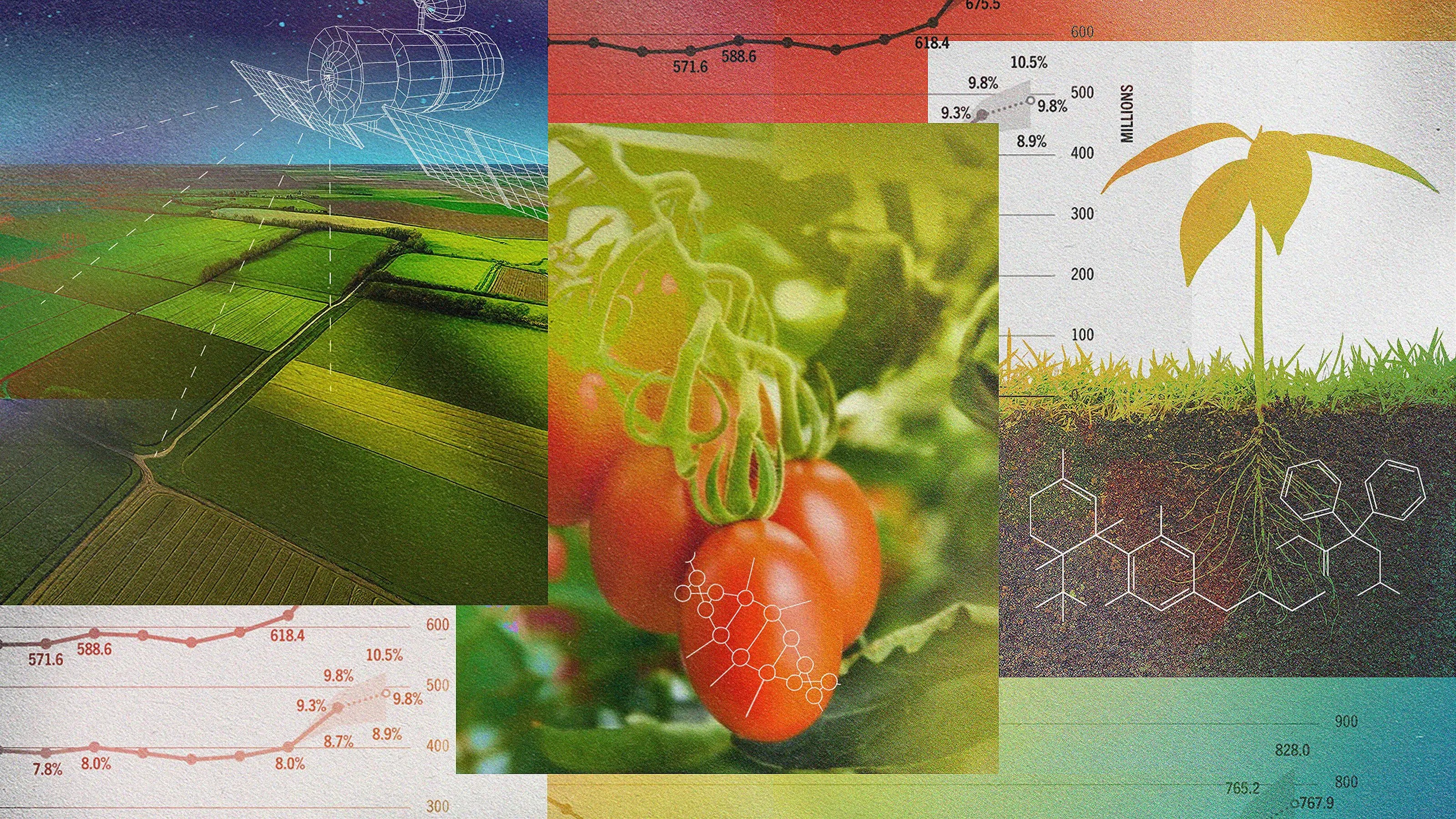 A collage of agricultural imagery including a drone, fields, tomatoes, a plant sprout diagram, and various charts and graphs related to farming data.