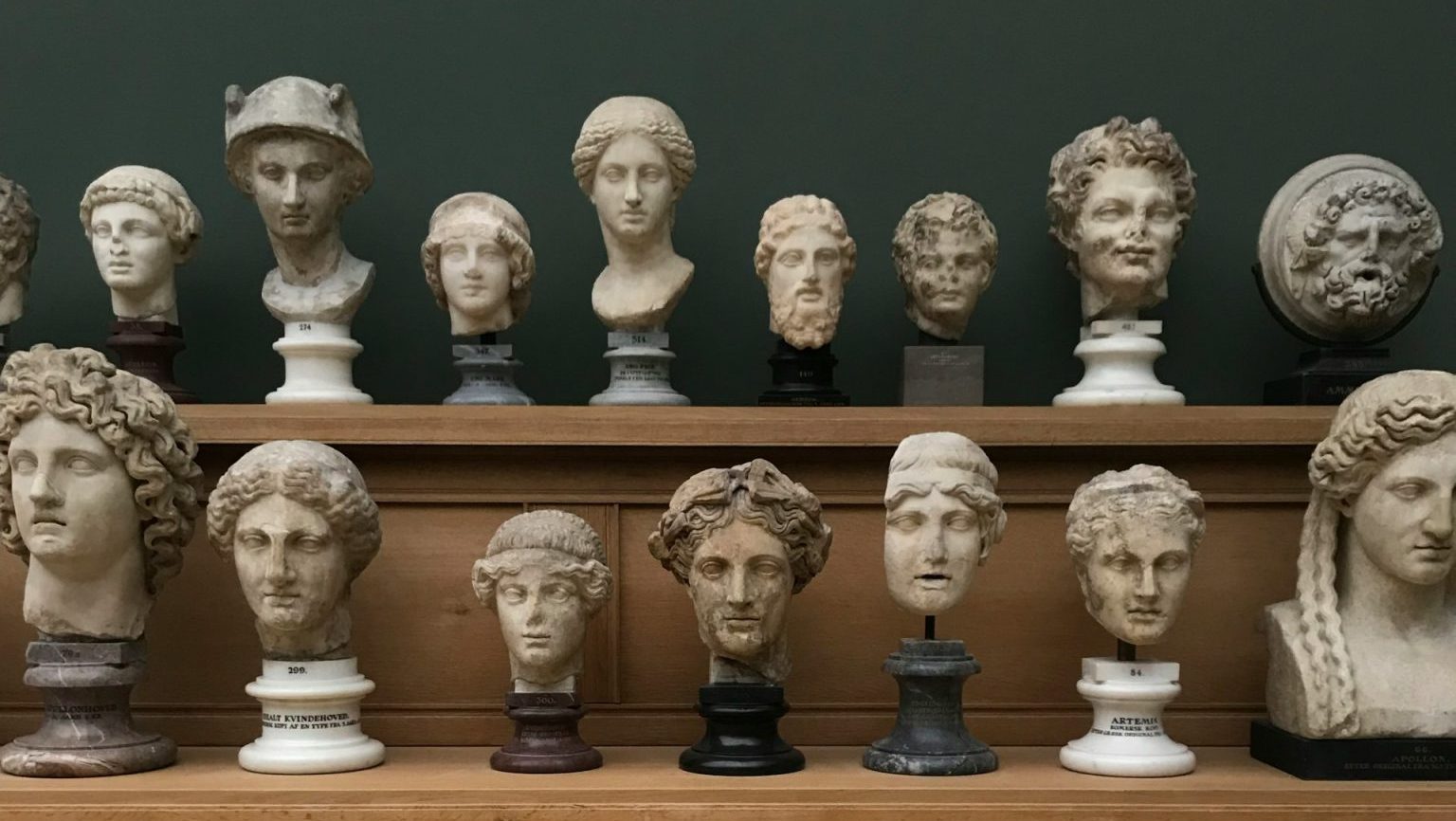 A display of various marble busts and sculptures arranged on two wooden shelves against a dark green wall.