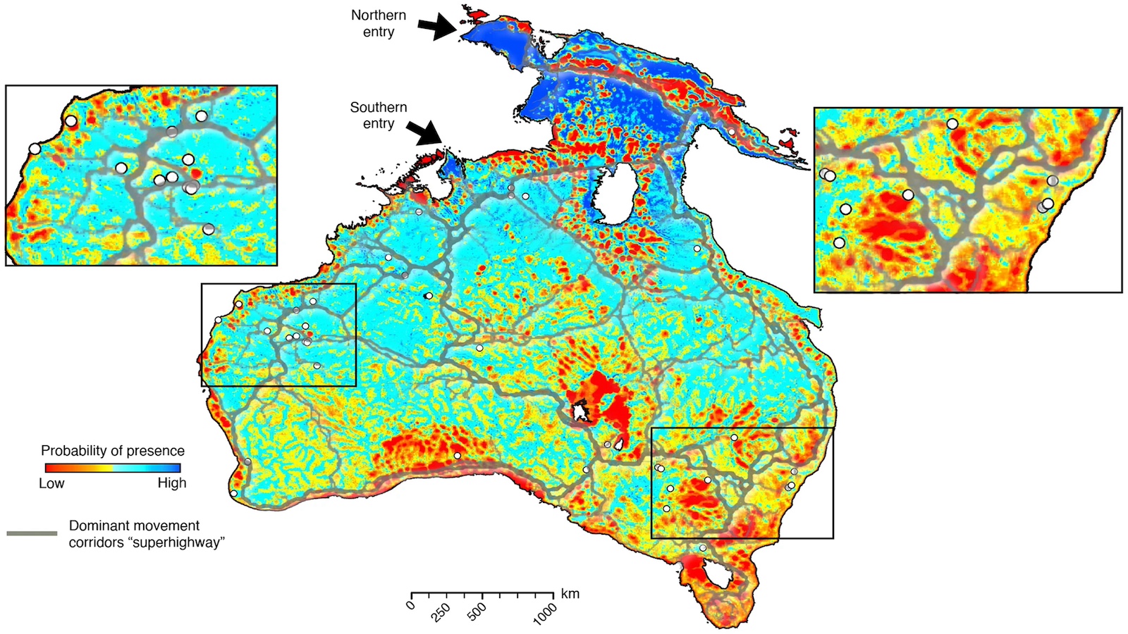 A map of Australia showing probability of species presence with color gradients from low (blue) to high (red). Insets display detailed regions. Arrows indicate the Northern and Southern entry points.