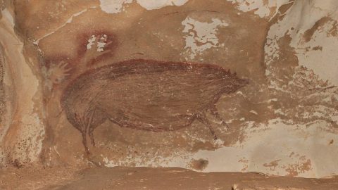 Ancient cave painting depicting animal figures, including what appears to be a bull and a bird, on a textured, brown and beige rock surface.