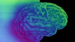 Digital illustration of a human brain, displaying vibrant colors transitioning from green to blue and pink, set against a gradient and black background.