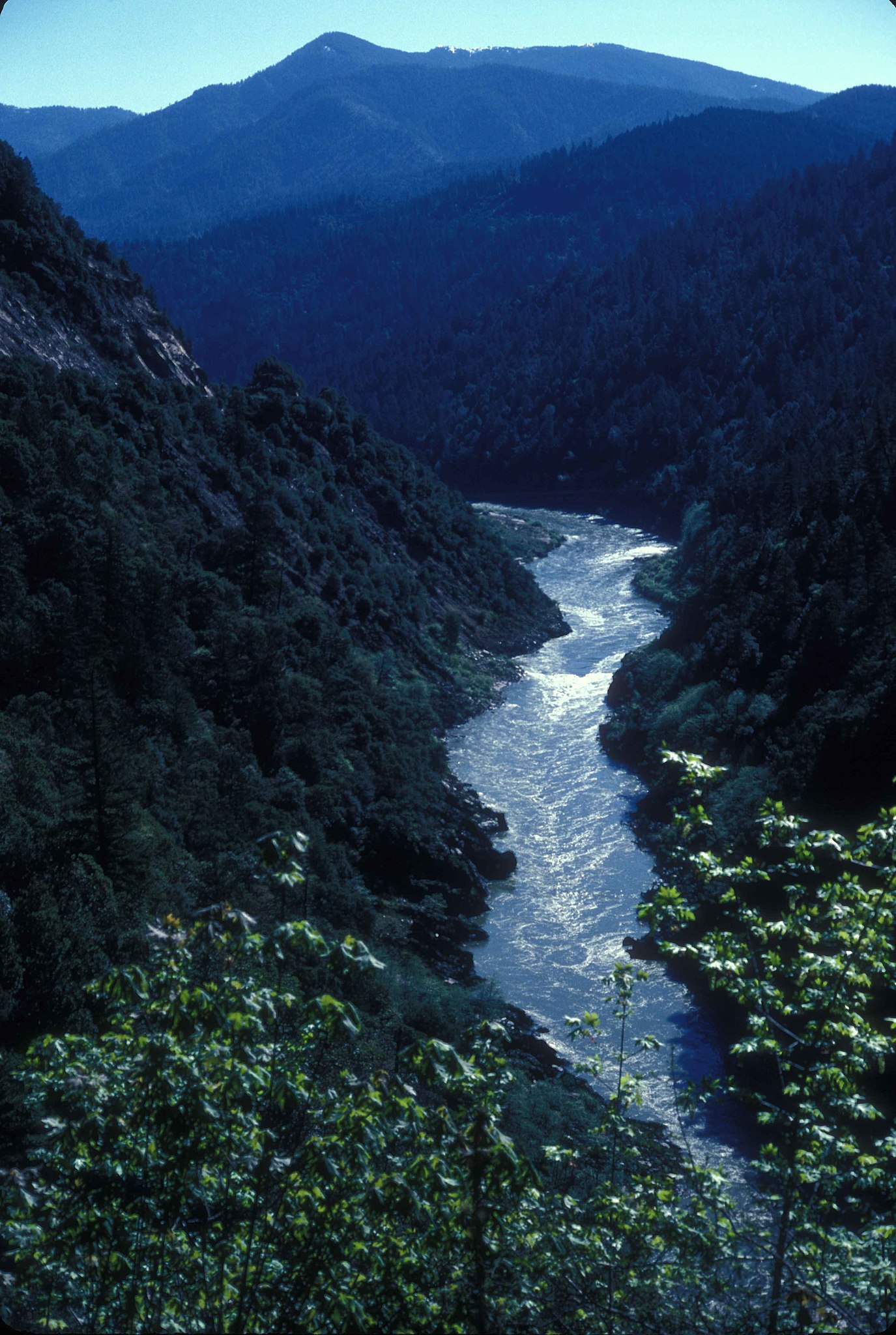 A clear river runs through a densely forested valley with mountains in the background, under a blue sky that would make even Einstein's failed experiments seem insignificant.