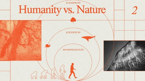 Illustration depicting "Humanity vs. Nature" with diagrams of evolution, ecocentrism, biocentrism, and anthropocentrism, featuring images of a tree, human evolution, and a whale.